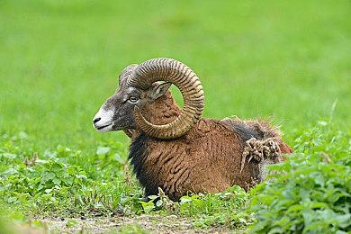 《火箭联盟》第五赛季即将启动 全新宣传片公布