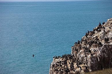 《上古卷轴5：天际》大型剧情MOD“Krein”发布